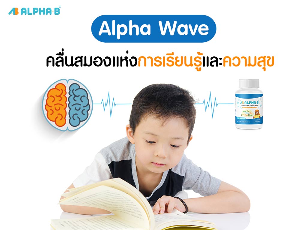 คลื่นสมองแห่งการเรียนรู้ alpha-b